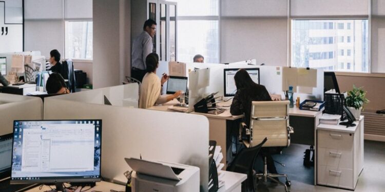 Με αυτά, βρίσκεις δουλειά, το πολύ σε έξι μήνες: Αυτά είναι τα τρία περιζήτητα πτυχία στην αγορά εργασίας